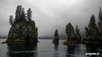 DSCN1323_1