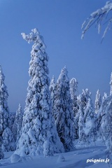 _FZ03508