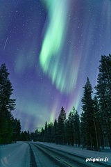 _FZ00818