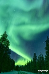 _FZ00832