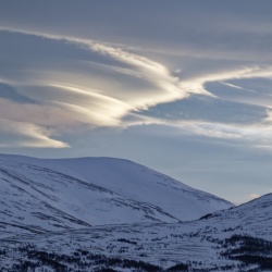 Dovrefjell