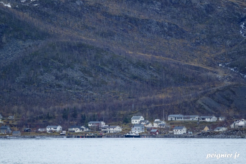 _FZ29603.jpg